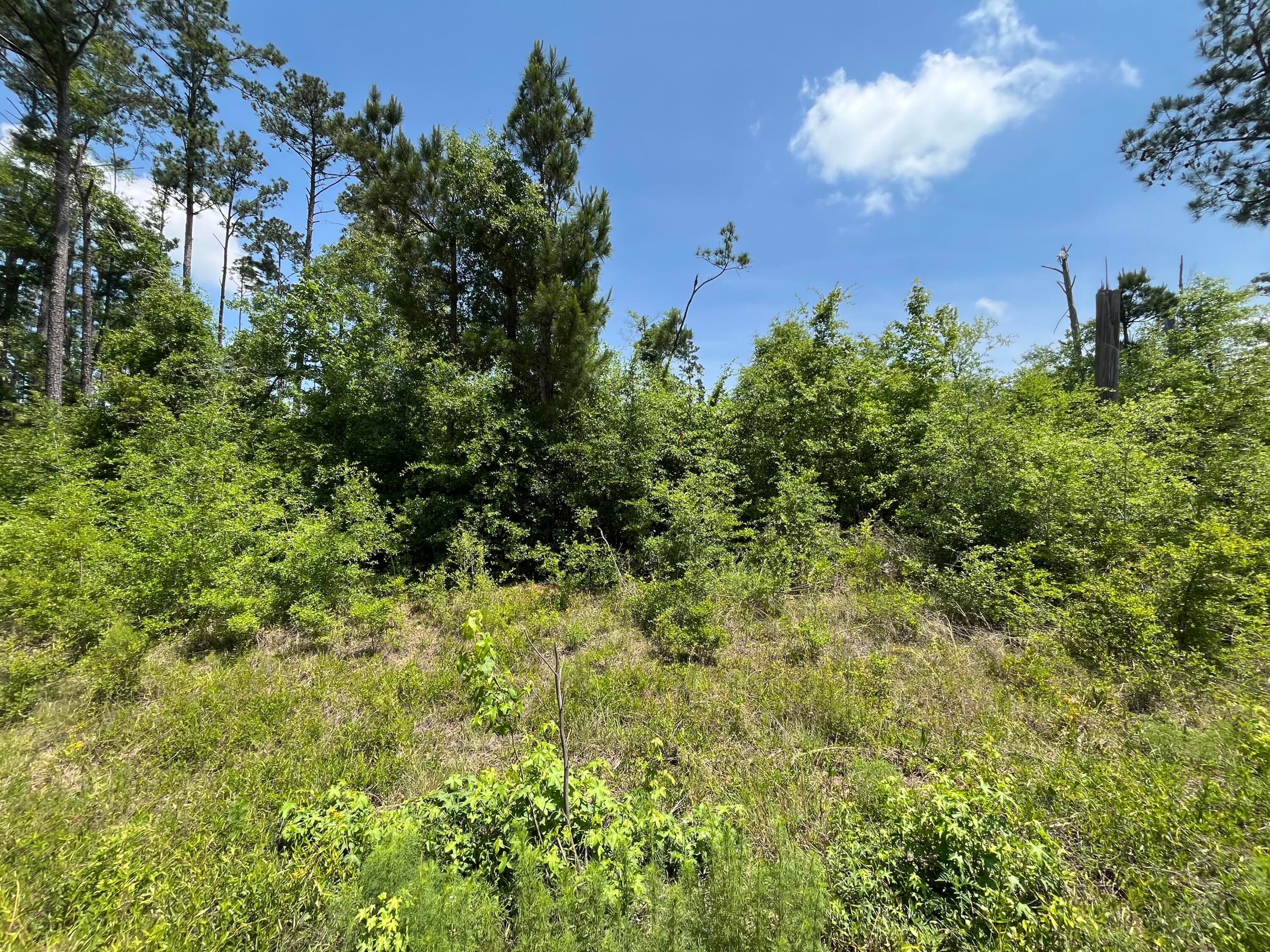 Tbd Grand Quiviera Circle, Alford, FL 32420 — photo