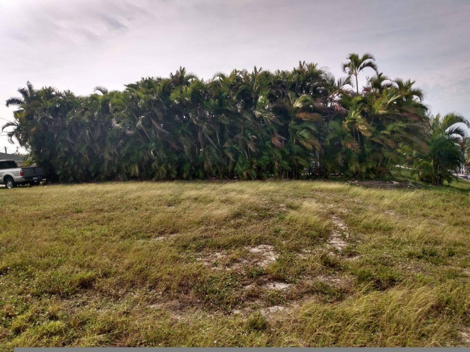 1727 SE 16th Street, Cape Coral, FL 33990 — photo 5 of 6