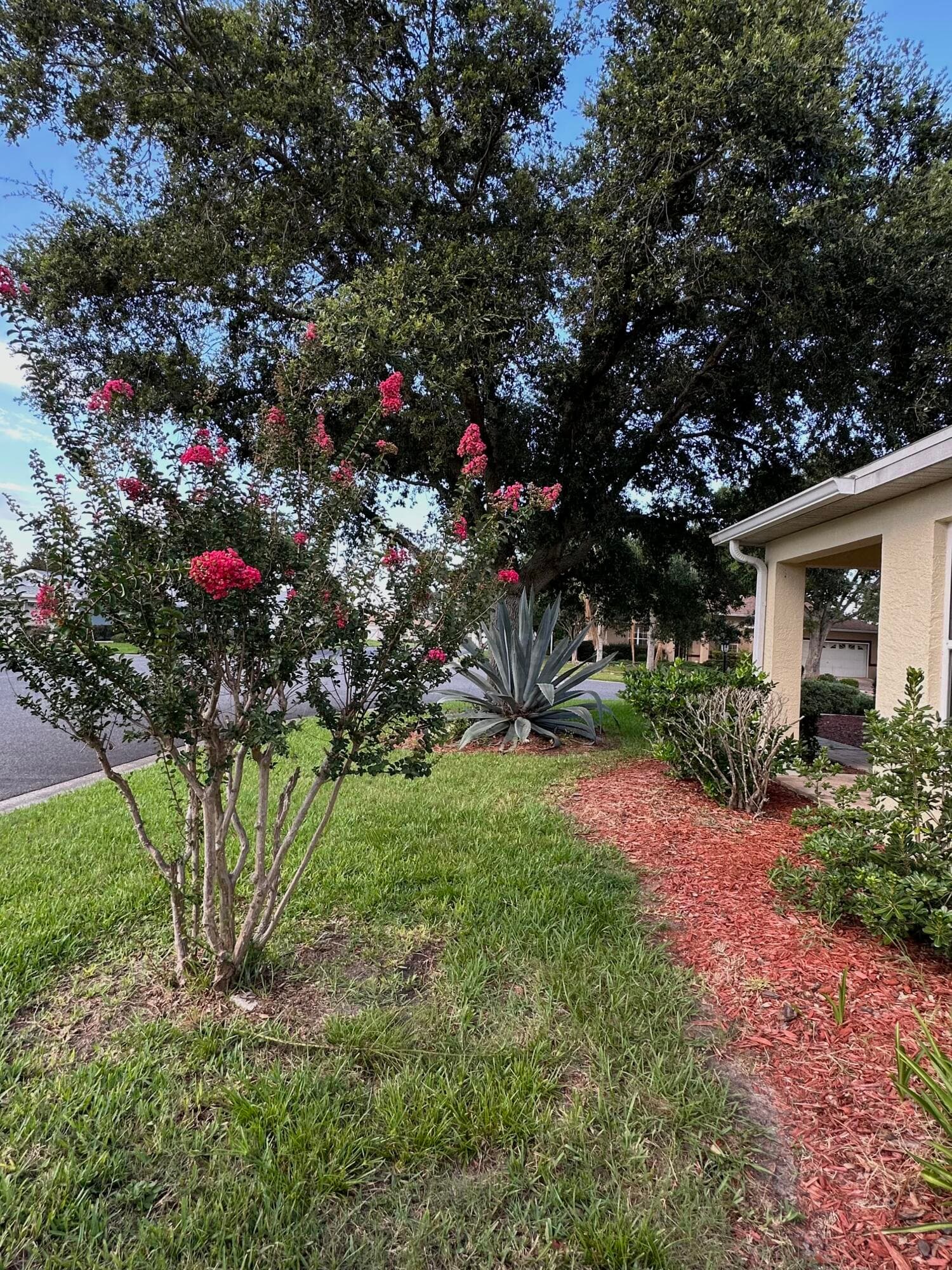 9706 SW 92nd Place Road, Ocala, FL 34481 — photo 85 of 88