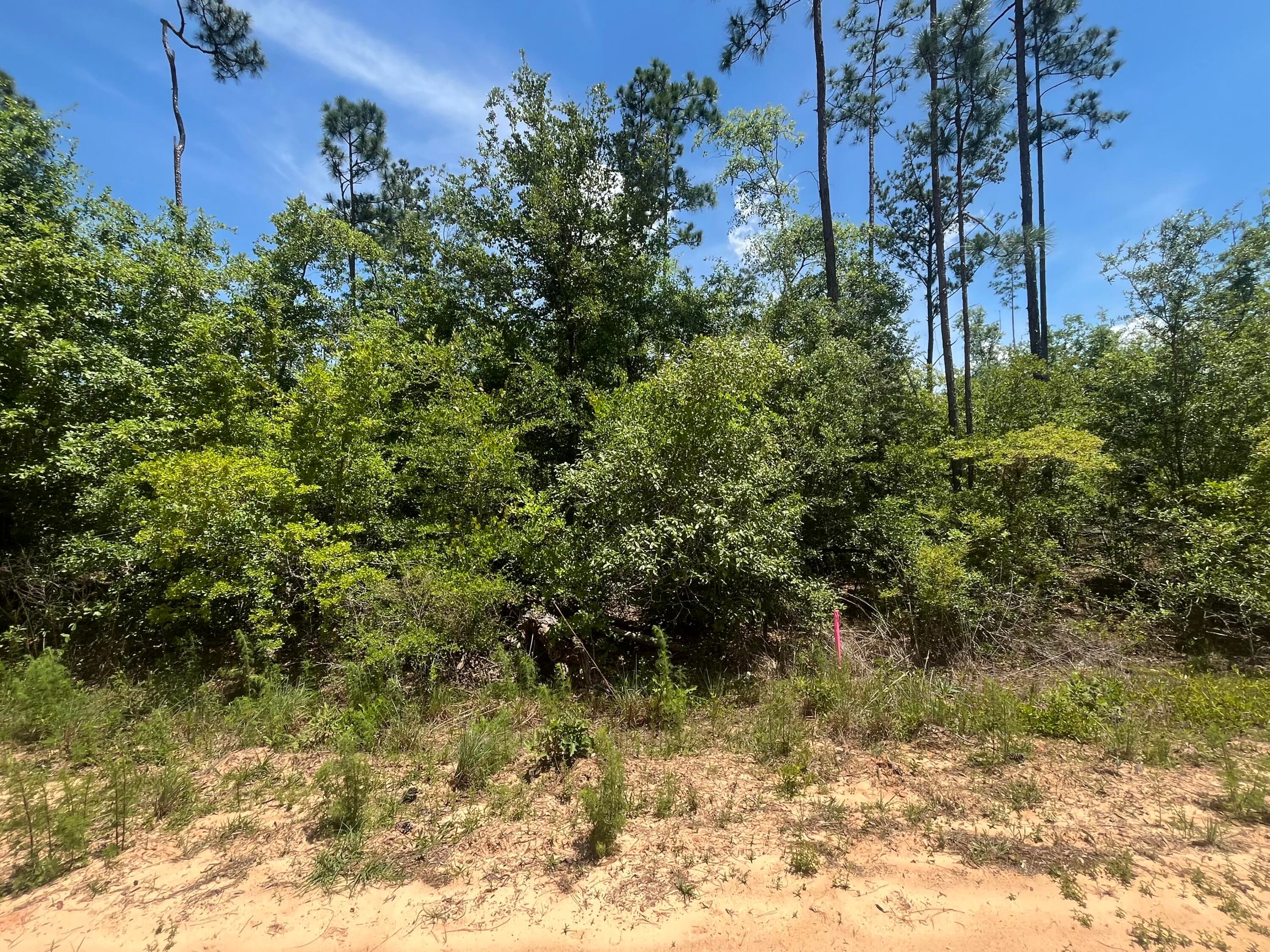 Tbd Tamarac Road, Marianna, FL 32448 — photo 3 of 9