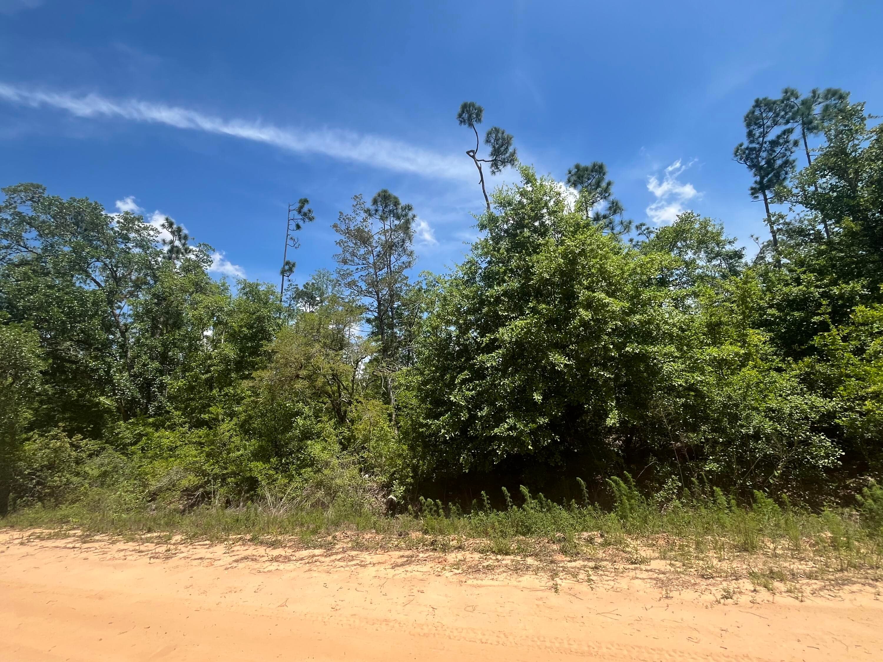 Tbd Tamarac Road, Marianna, FL 32448 — photo 4 of 9