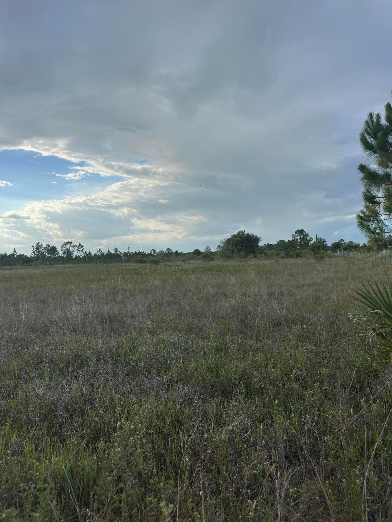17757 NW 304th Street, Okeechobee, FL 34972 — photo 3 of 5