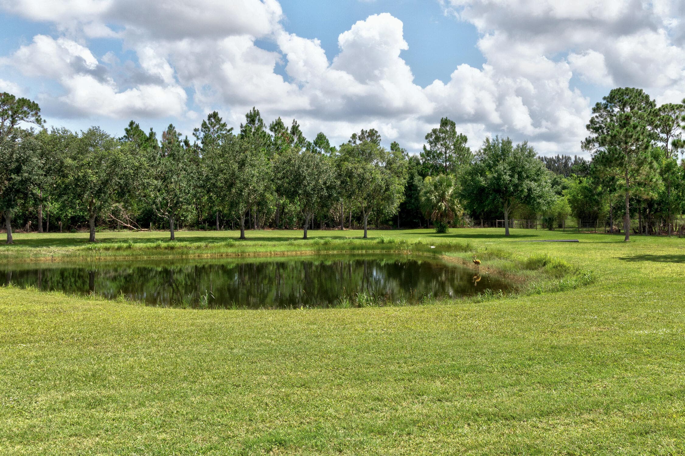 13280 81st Street, Fellsmere, FL 32948 — photo 30 of 46