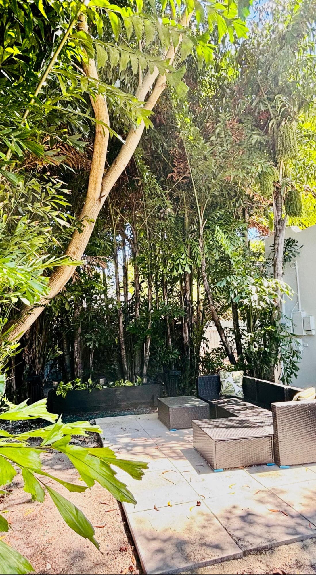 1036 Francis Street, West Palm Beach, FL 33405 — photo 10 of 10