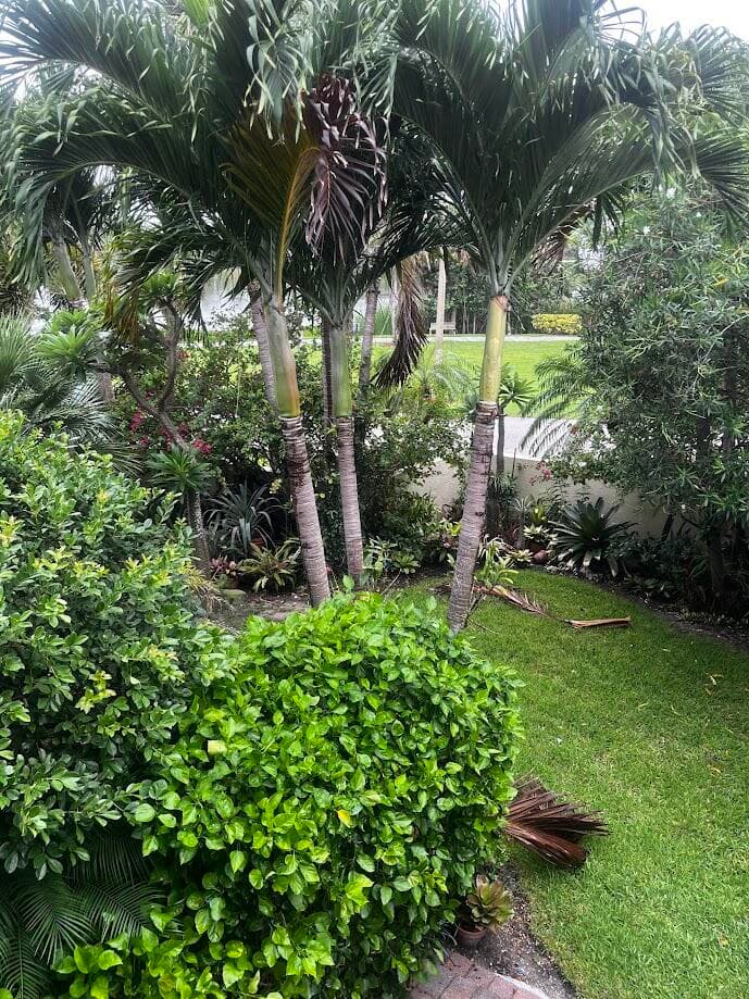 170 Celestial Way 1-5, Juno Beach, FL 33408 — photo 39 of 43