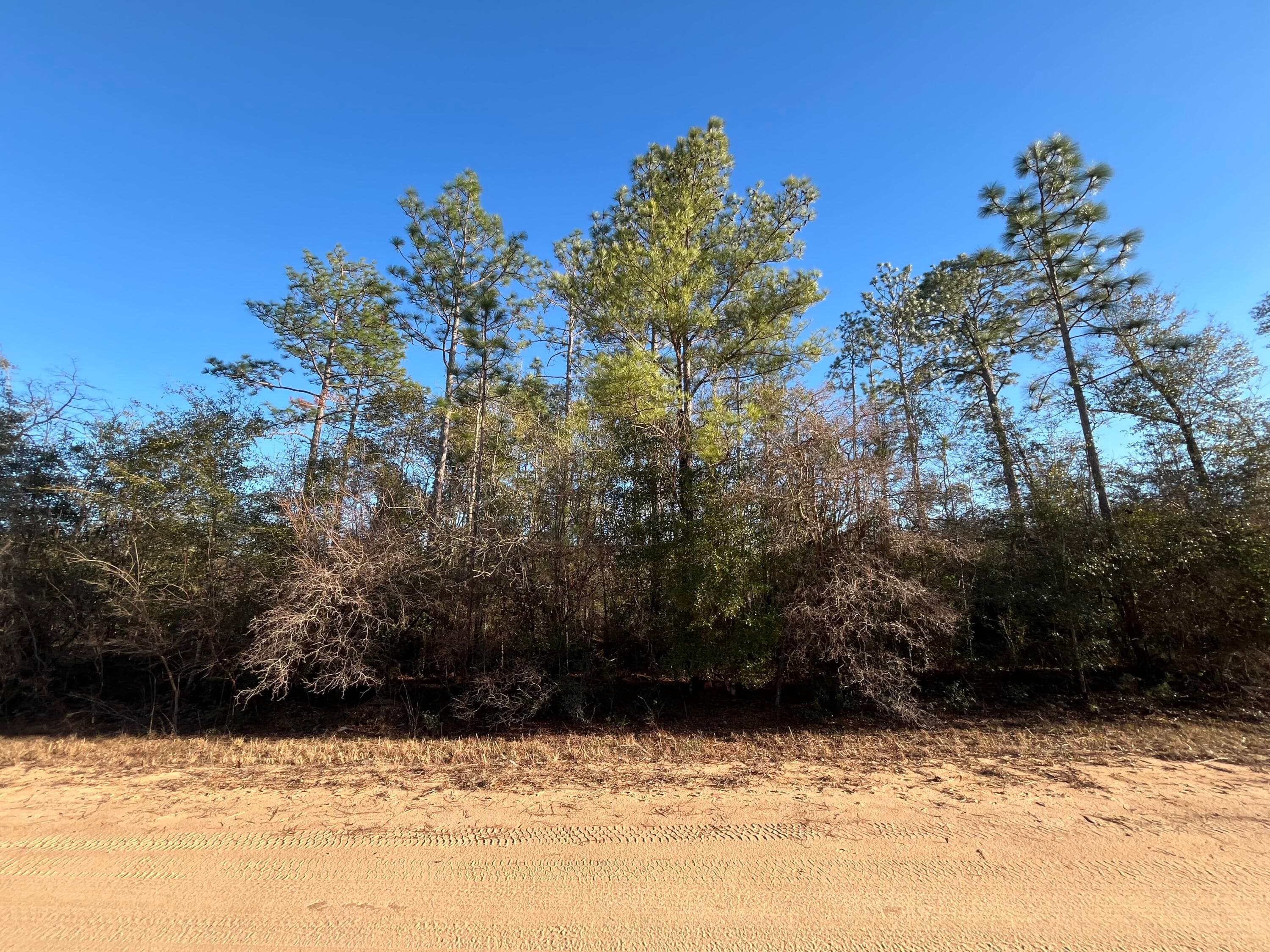 Tbd Goreville, Alford, FL 32420 — photo