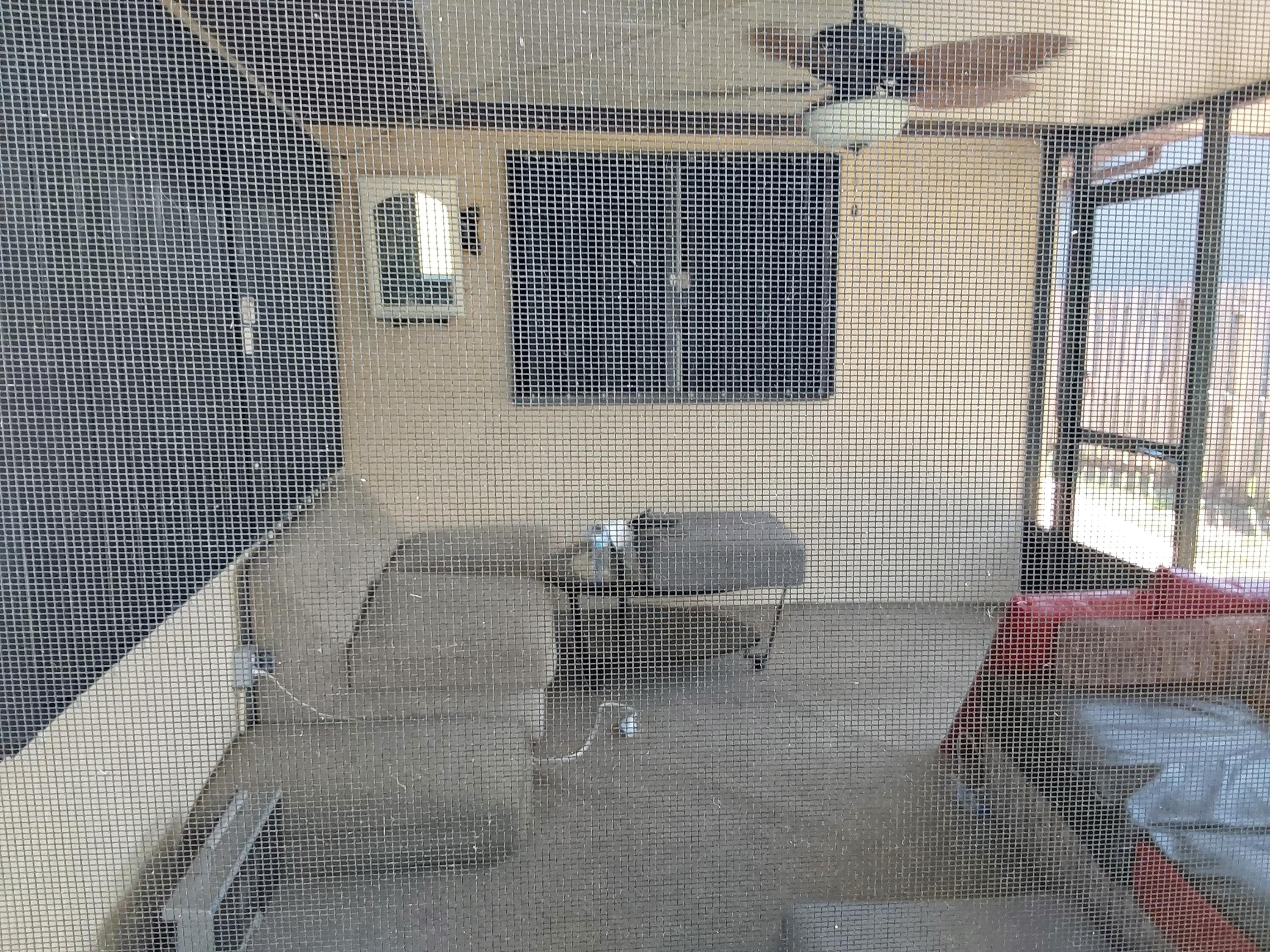 1179 SE Proctor Lane, Port St. Lucie, FL 34953 — photo 9 of 14