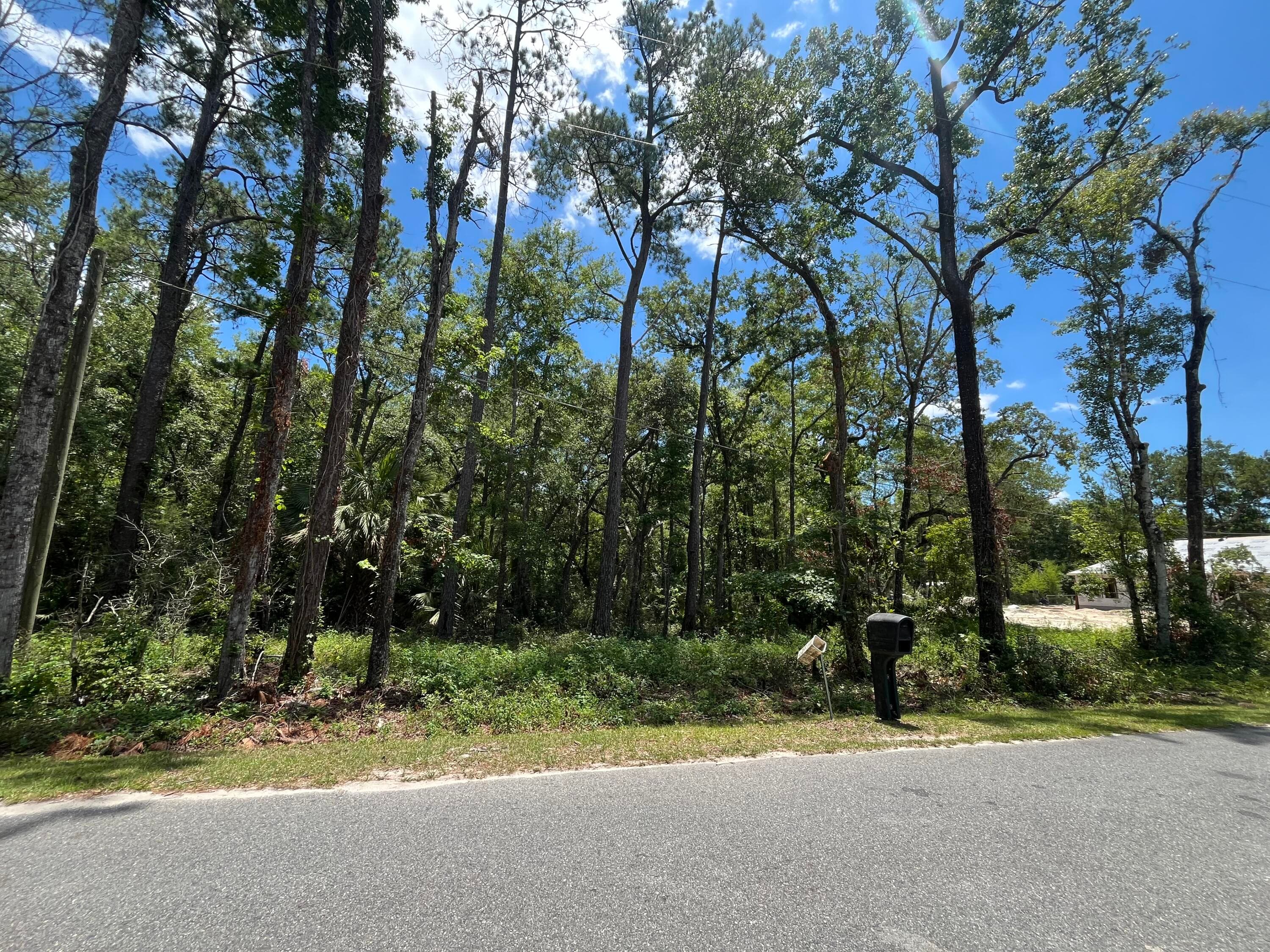 Tbd Franklin Drive, Crawfordville, FL 32327 — photo 4 of 10