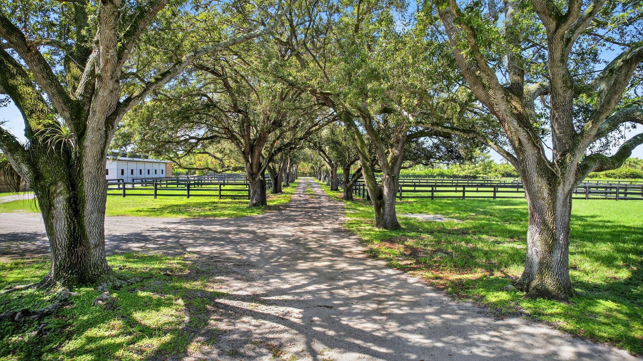 16229 Rustic Rd Road, Wellington, FL 33470 — photo 127 of 140