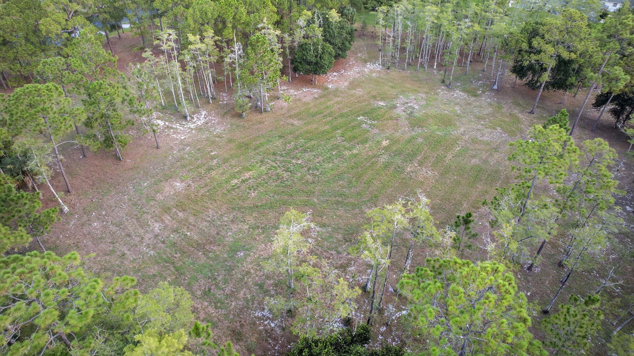 2795 Doe Trail, Loxahatchee, FL 33470 — photo 14 of 38