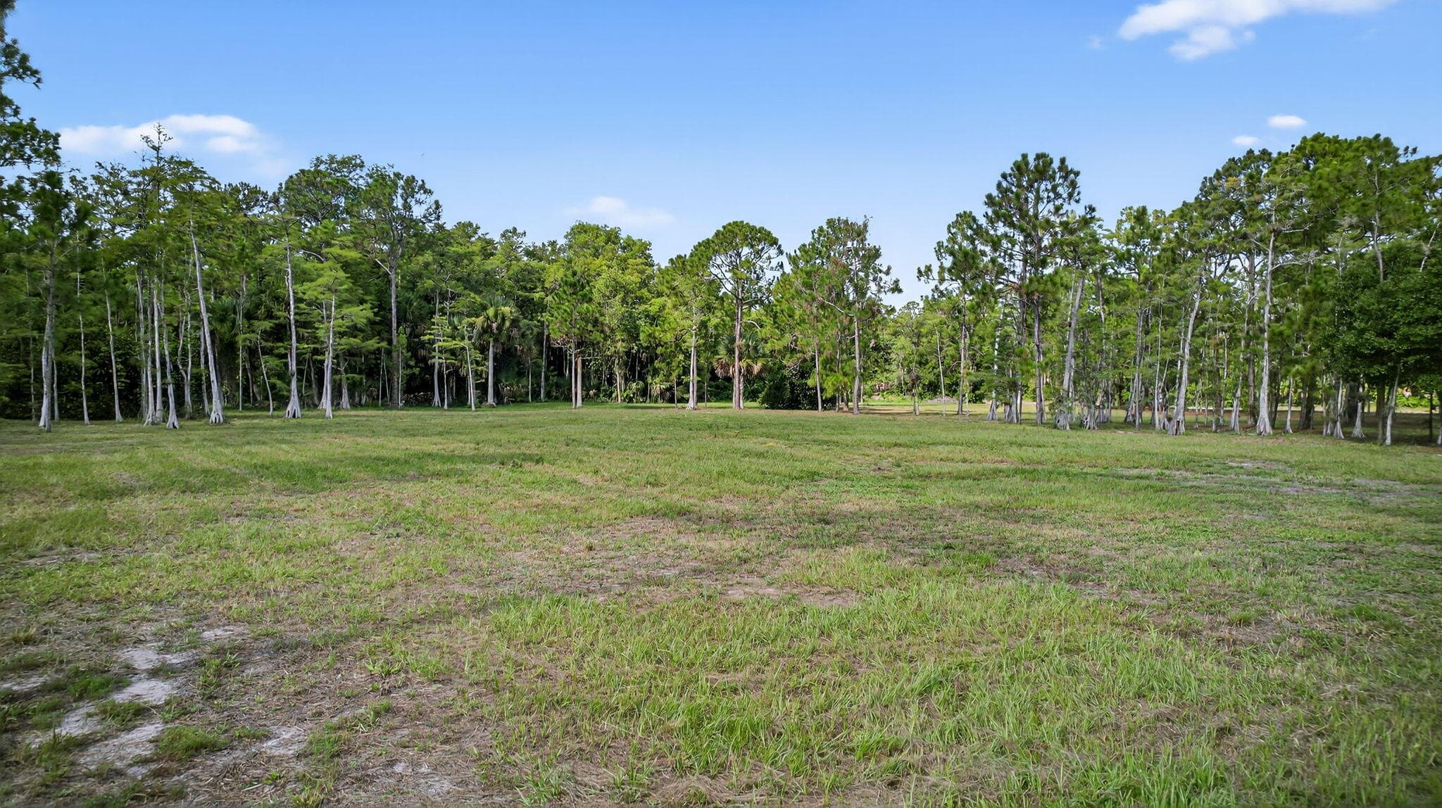 2795 Doe Trail, Loxahatchee, FL 33470 — photo 3 of 38