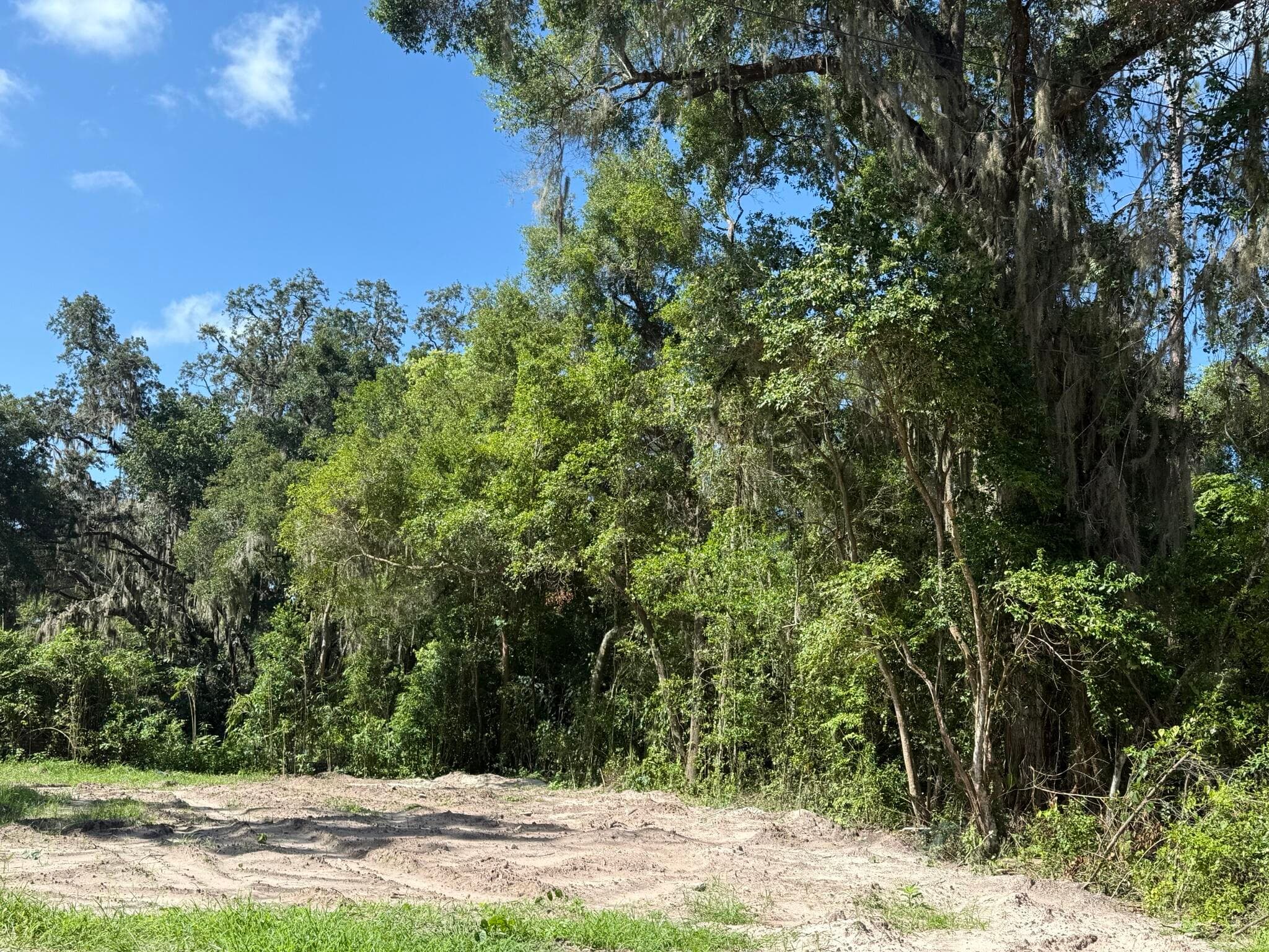 115 Roddy Lane, Palatka, FL 32177 — photo 2 of 5