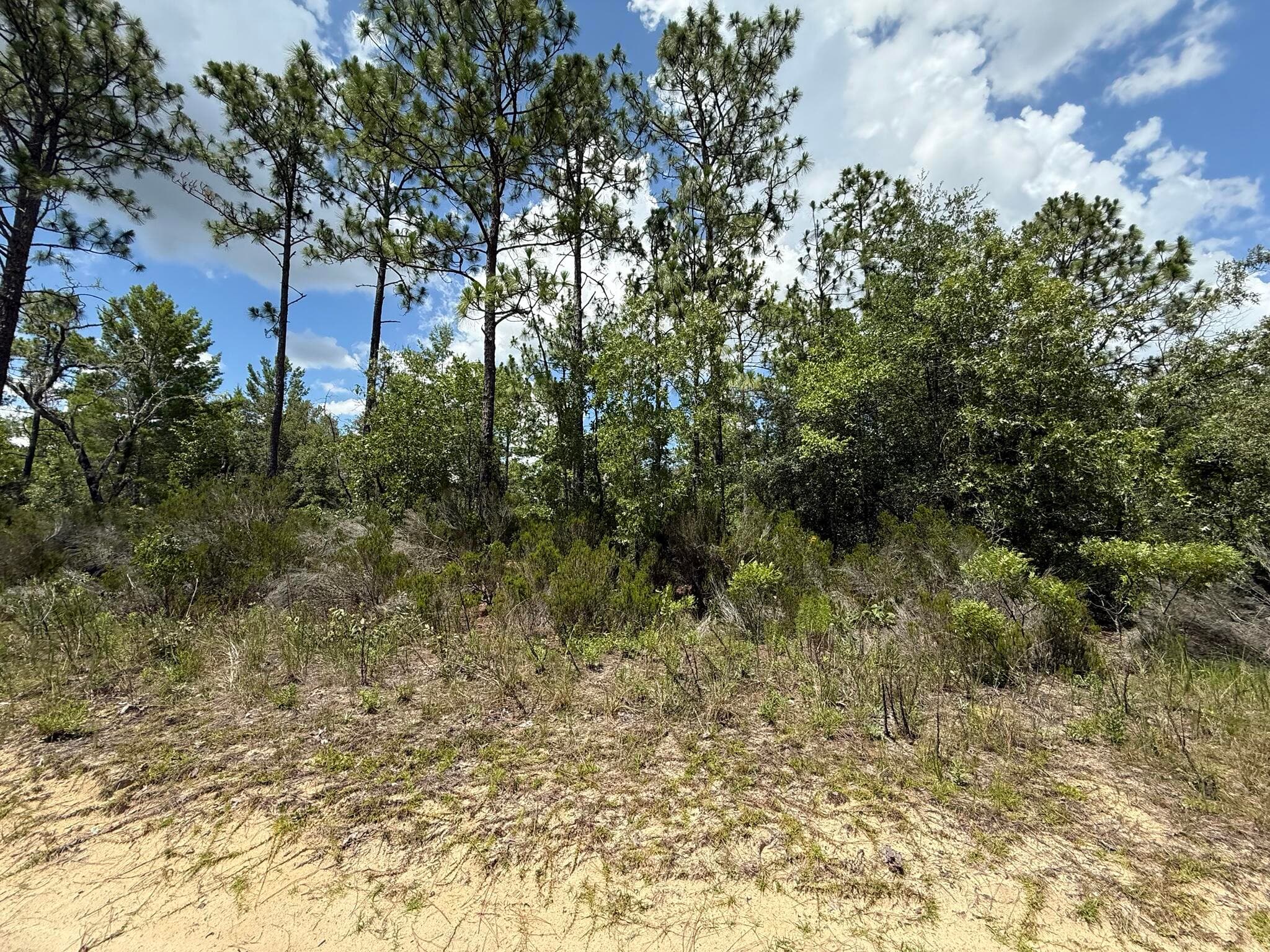 187 Paris Street, Interlachen, FL 32148 — photo 1 of 7