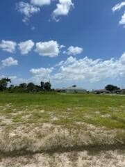 2134 NW 23rd Avenue, Cape Coral, FL 33993 — photo 43 of 43