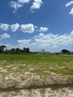 824 NE 23rd Terrace, Cape Coral, FL 33909 — photo 25 of 42
