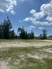 824 NE 23rd Terrace, Cape Coral, FL 33909 — photo 32 of 42