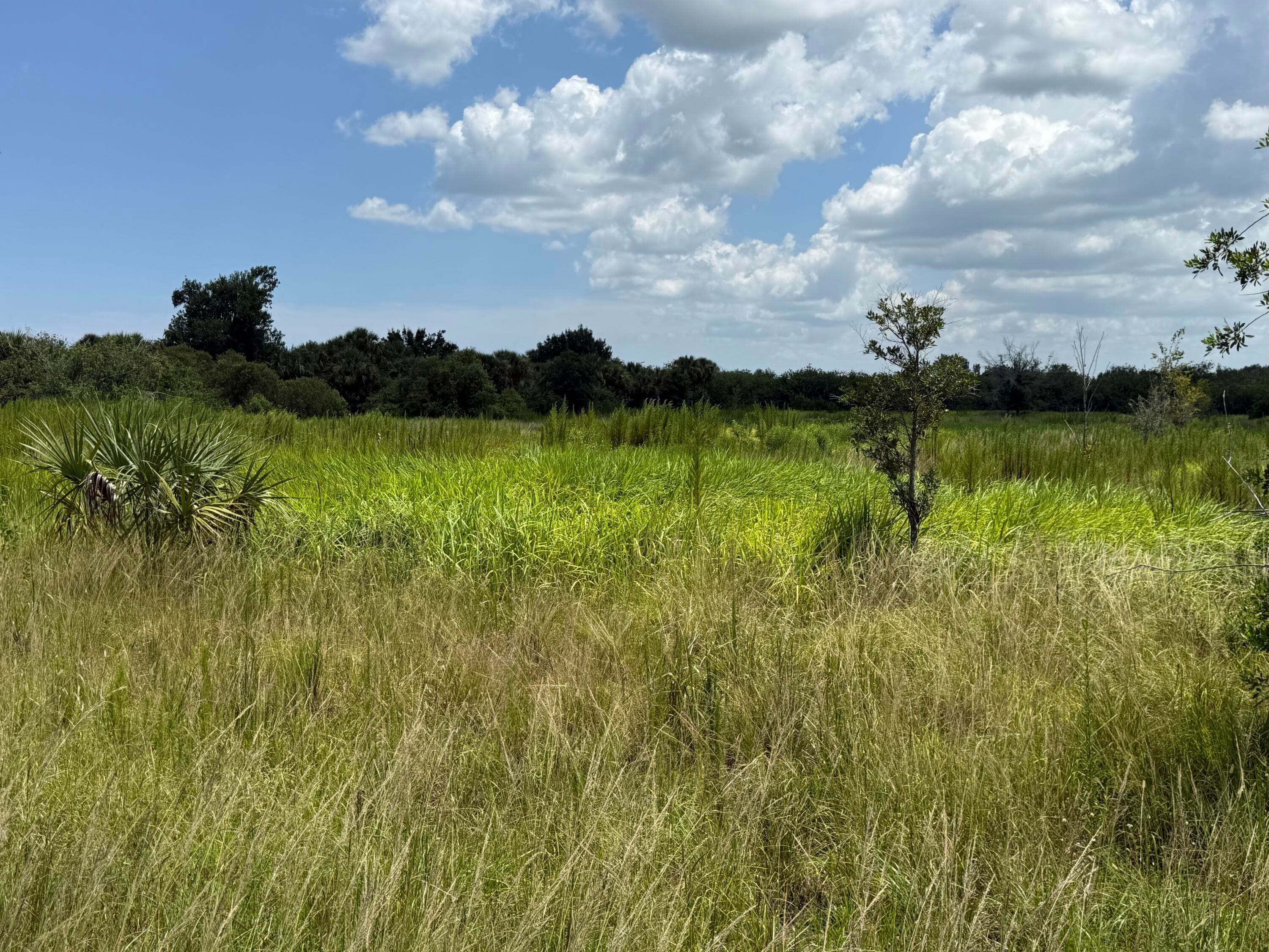 305 Fawn Trail Street, Palm Bay, FL 32909 — photo 12 of 20