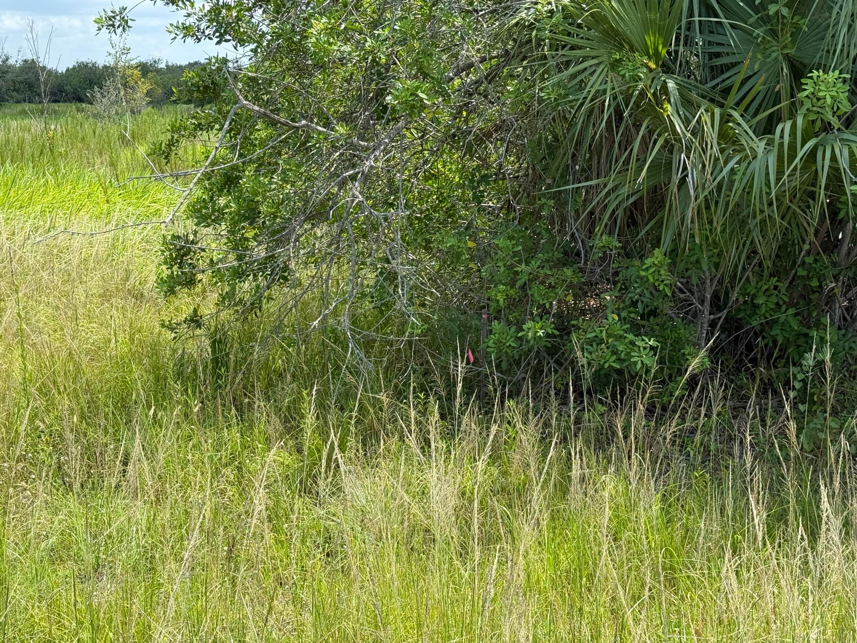305 Fawn Trail Street, Palm Bay, FL 32909 — photo 14 of 20