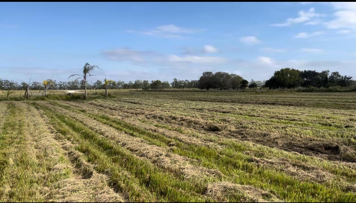 1503 S Header Canal Road, Fort Pierce, FL 34945 — photo 3 of 11