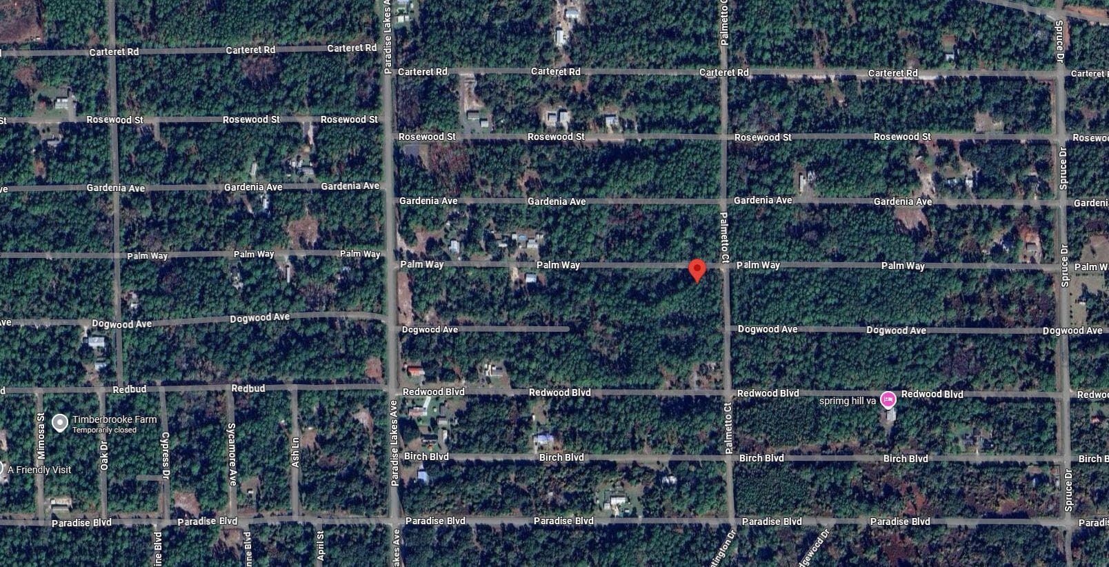 337 Palm Way, Georgetown, FL 32139 — photo 7 of 8