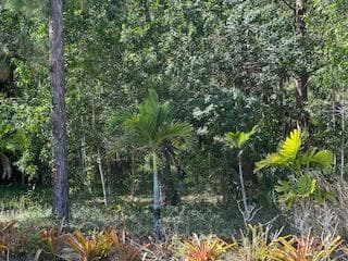 000 129th Avenue N, Royal Palm Beach, FL 33411 — photo 6 of 7