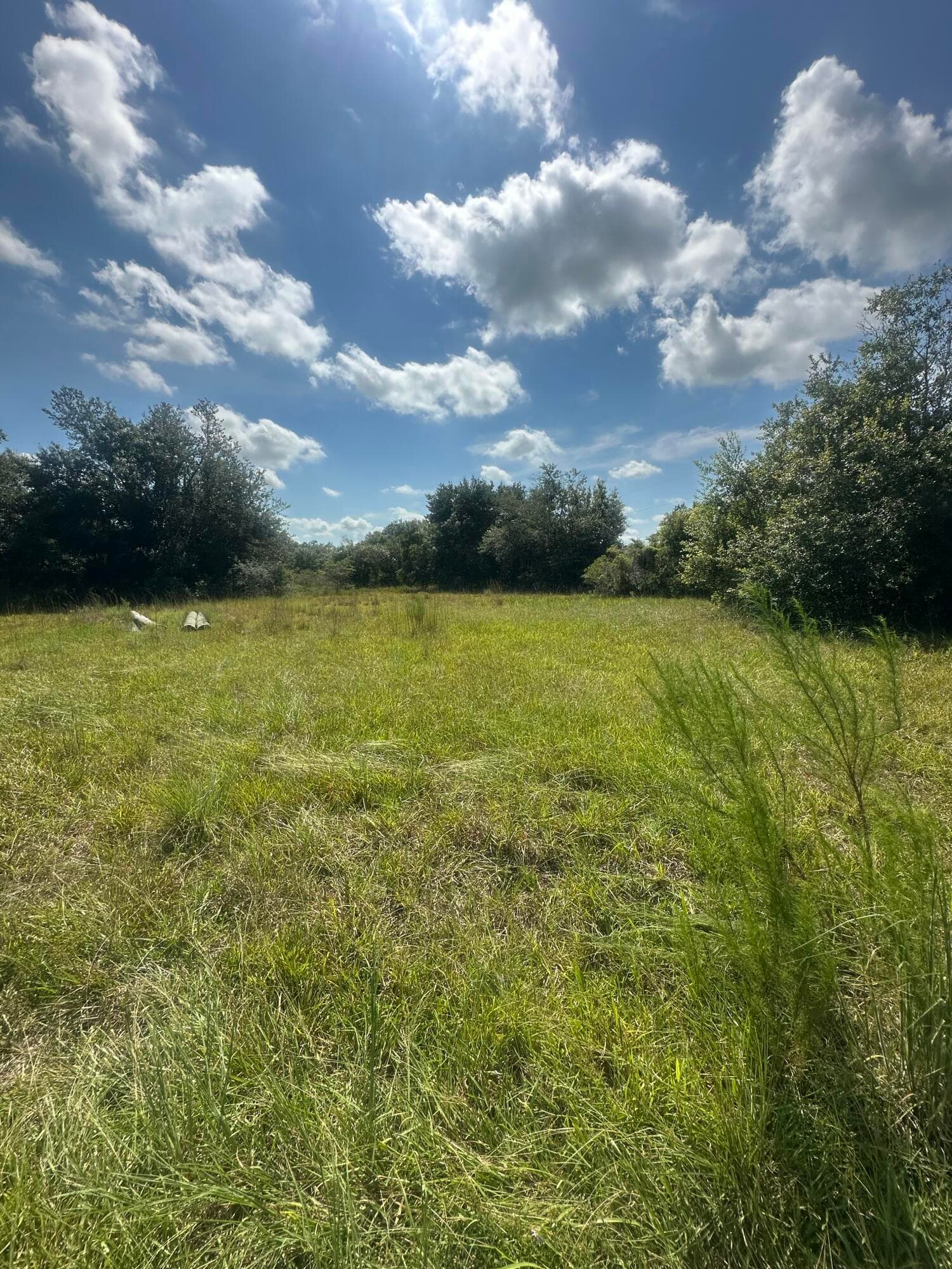 22128 NW 258th Street, Okeechobee, FL 34972 — photo 1 of 7