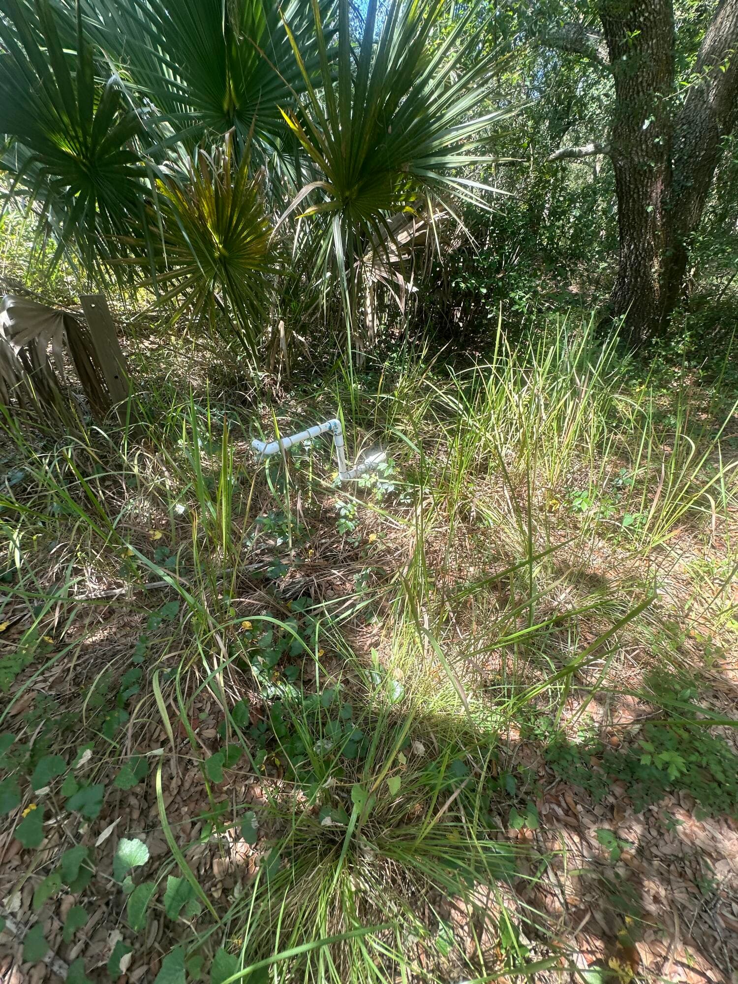 22128 NW 258th Street, Okeechobee, FL 34972 — photo 5 of 7