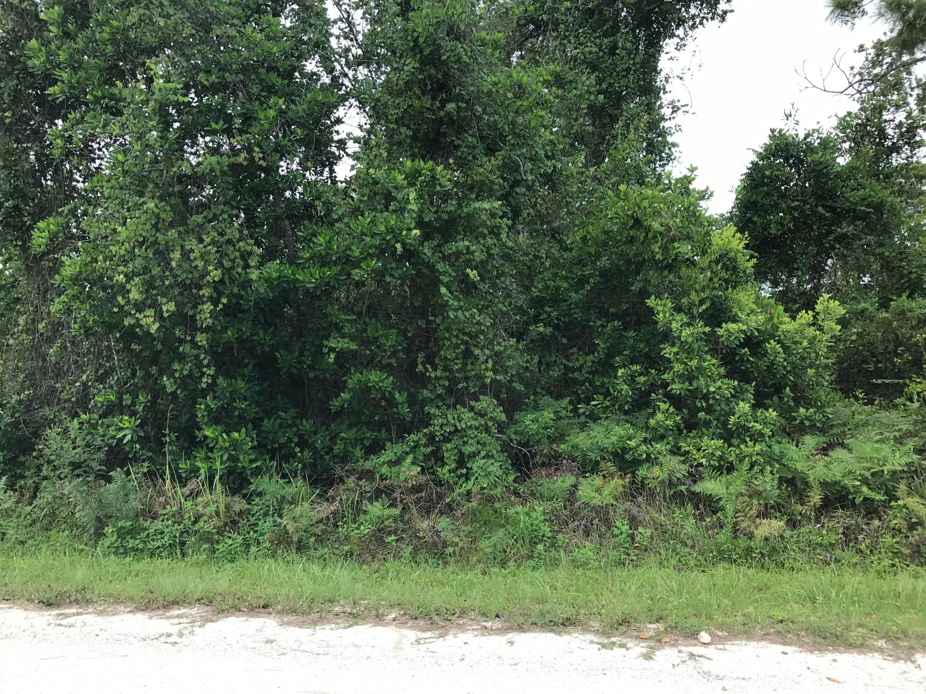 1126 Greenfield Street, Lake Placid, FL 33852 — photo 2 of 6