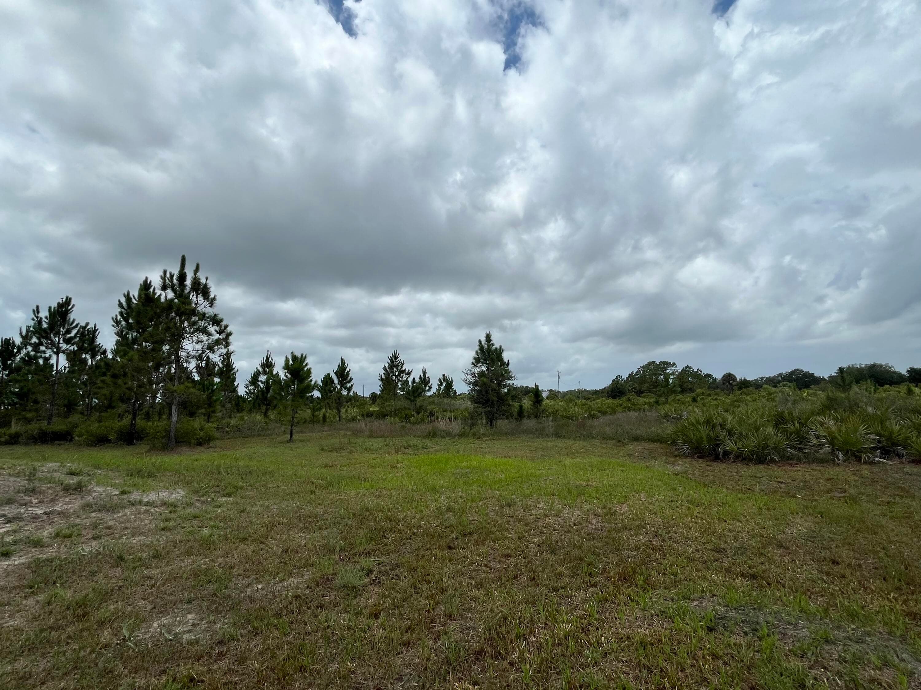 19092 NW 250th Street, Okeechobee, FL 34972 — photo 8 of 11