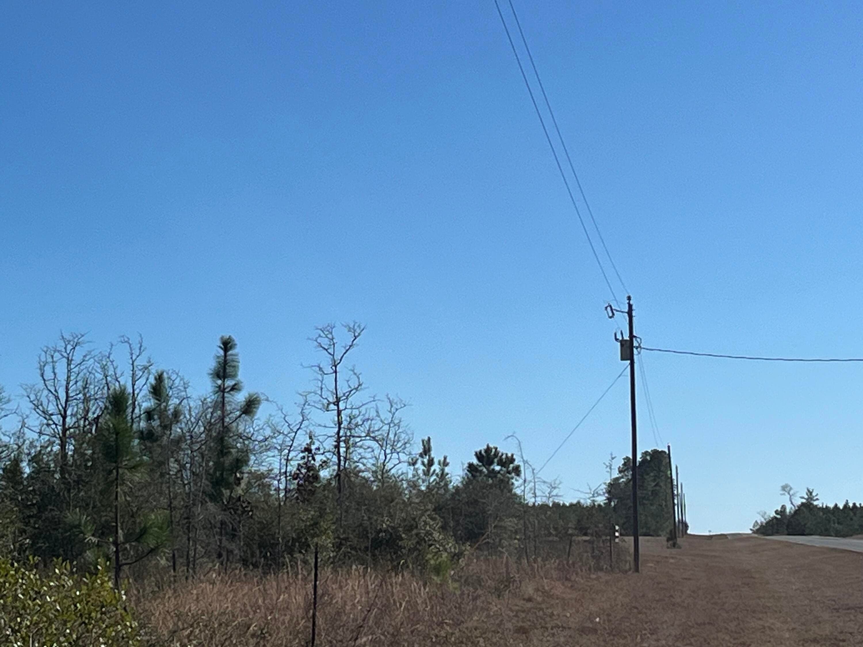 Tbd Fairview Road, Marianna, FL 32448 — photo 6 of 9
