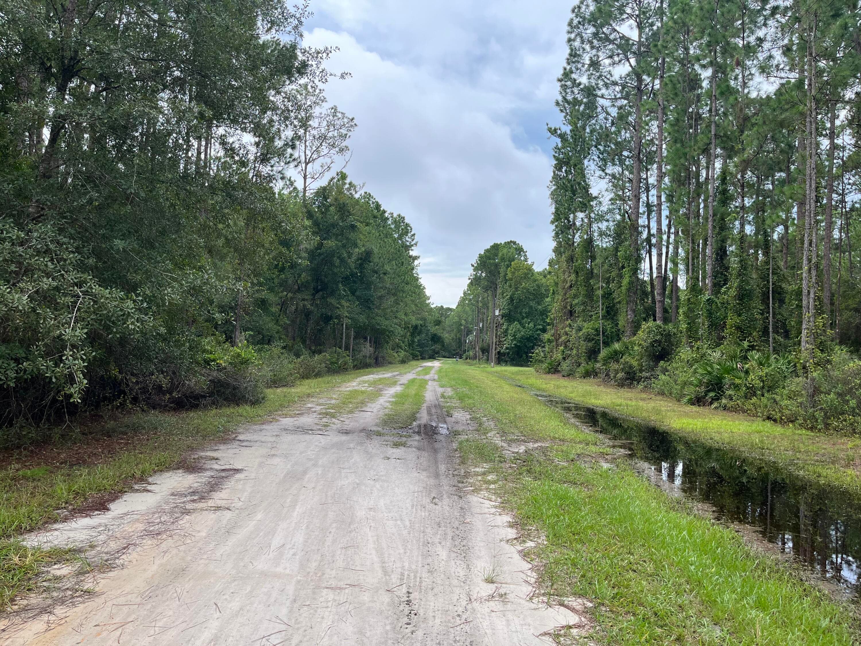 117 Mosswood Street, Georgetown, FL 32139 — photo 2 of 8