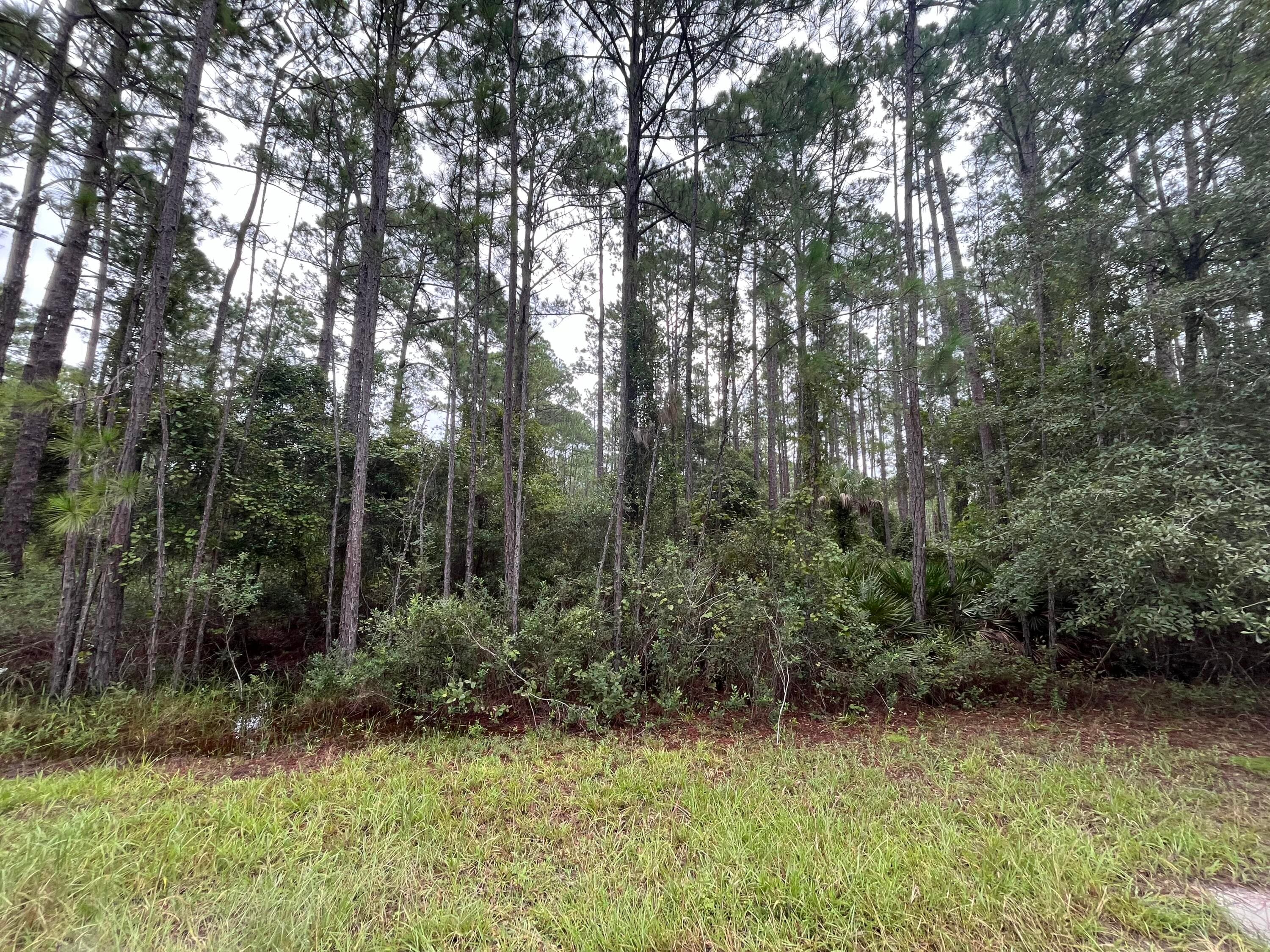 117 Mosswood Street, Georgetown, FL 32139 — photo 4 of 8