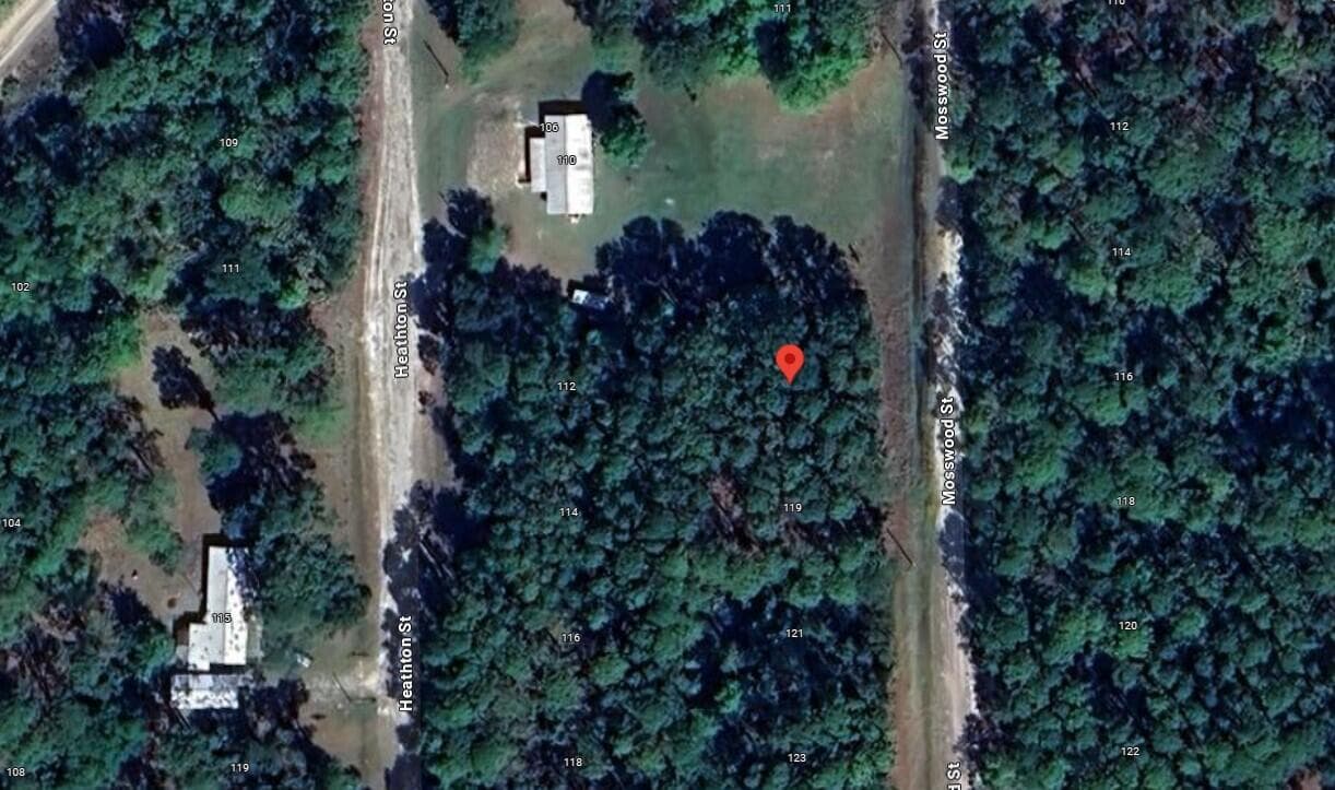 117 Mosswood Street, Georgetown, FL 32139 — photo 7 of 8