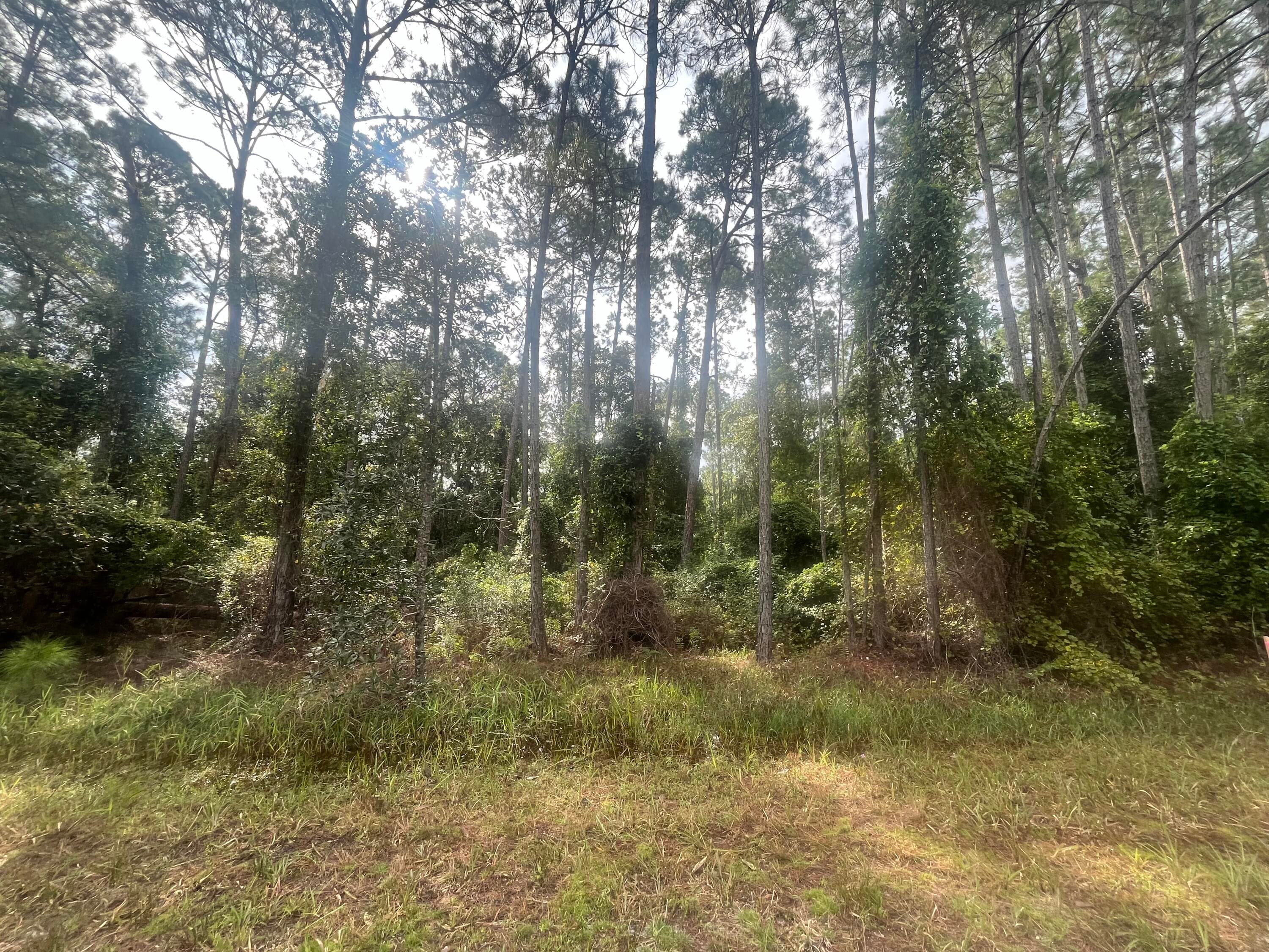 223 SE 2nd Street, Georgetown, FL 32139 — photo