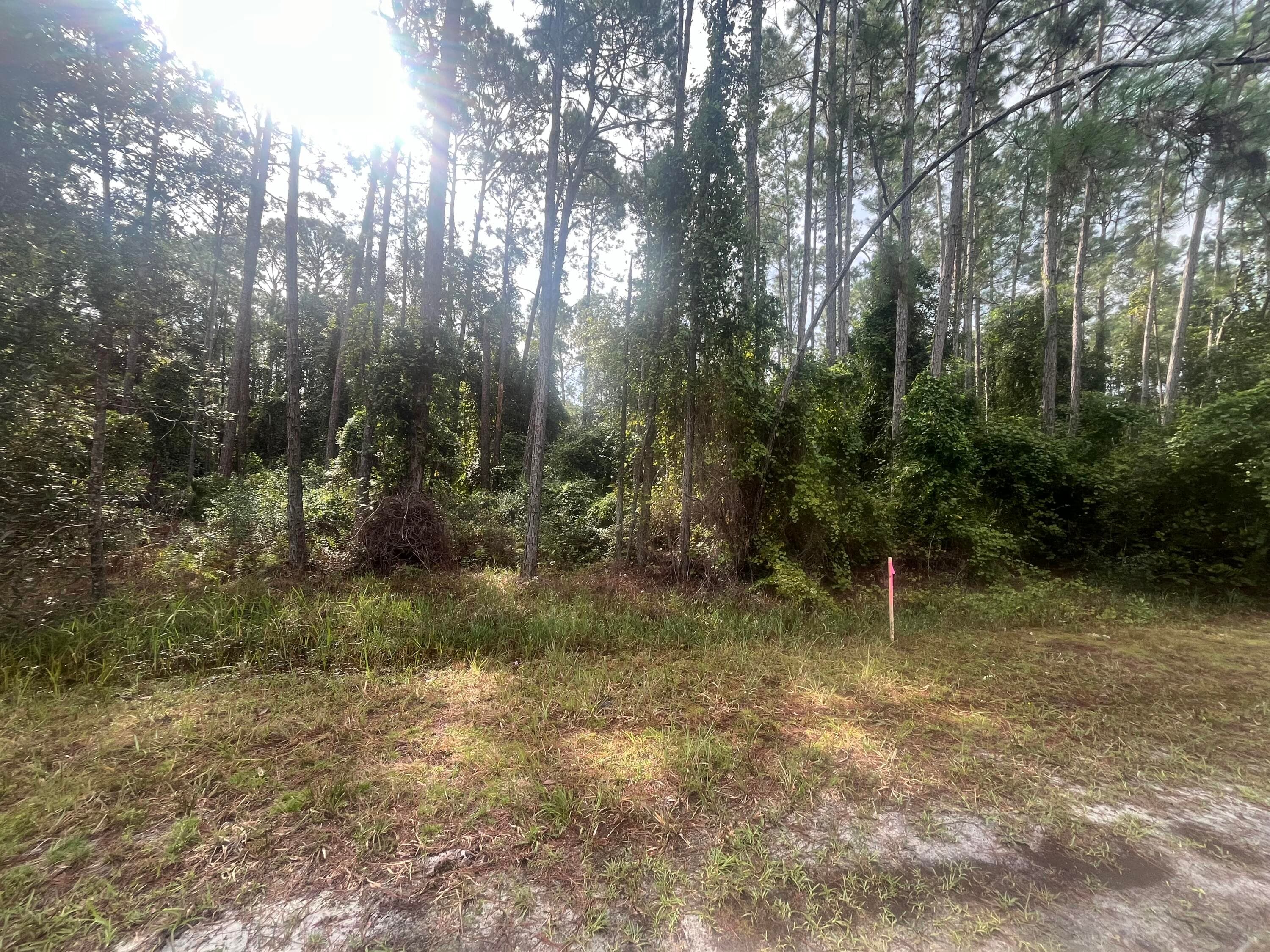223 SE 2nd Street, Georgetown, FL 32139 — photo 2 of 7