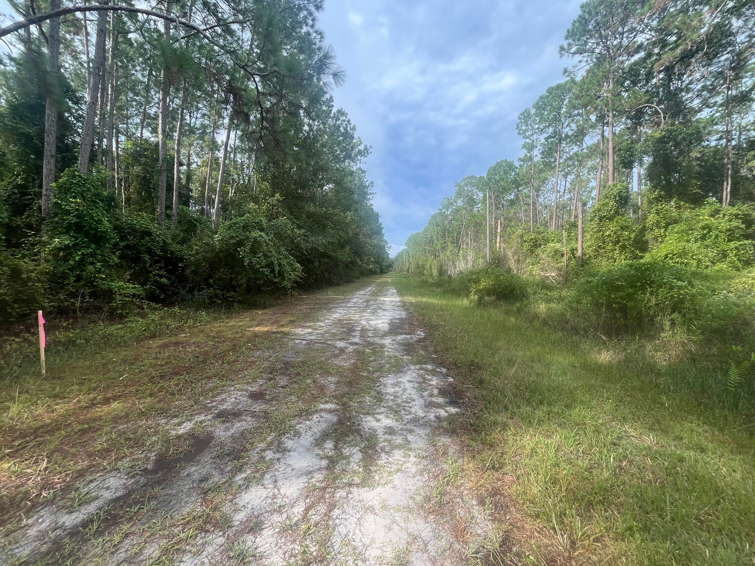 223 SE 2nd Street, Georgetown, FL 32139 — photo 3 of 7