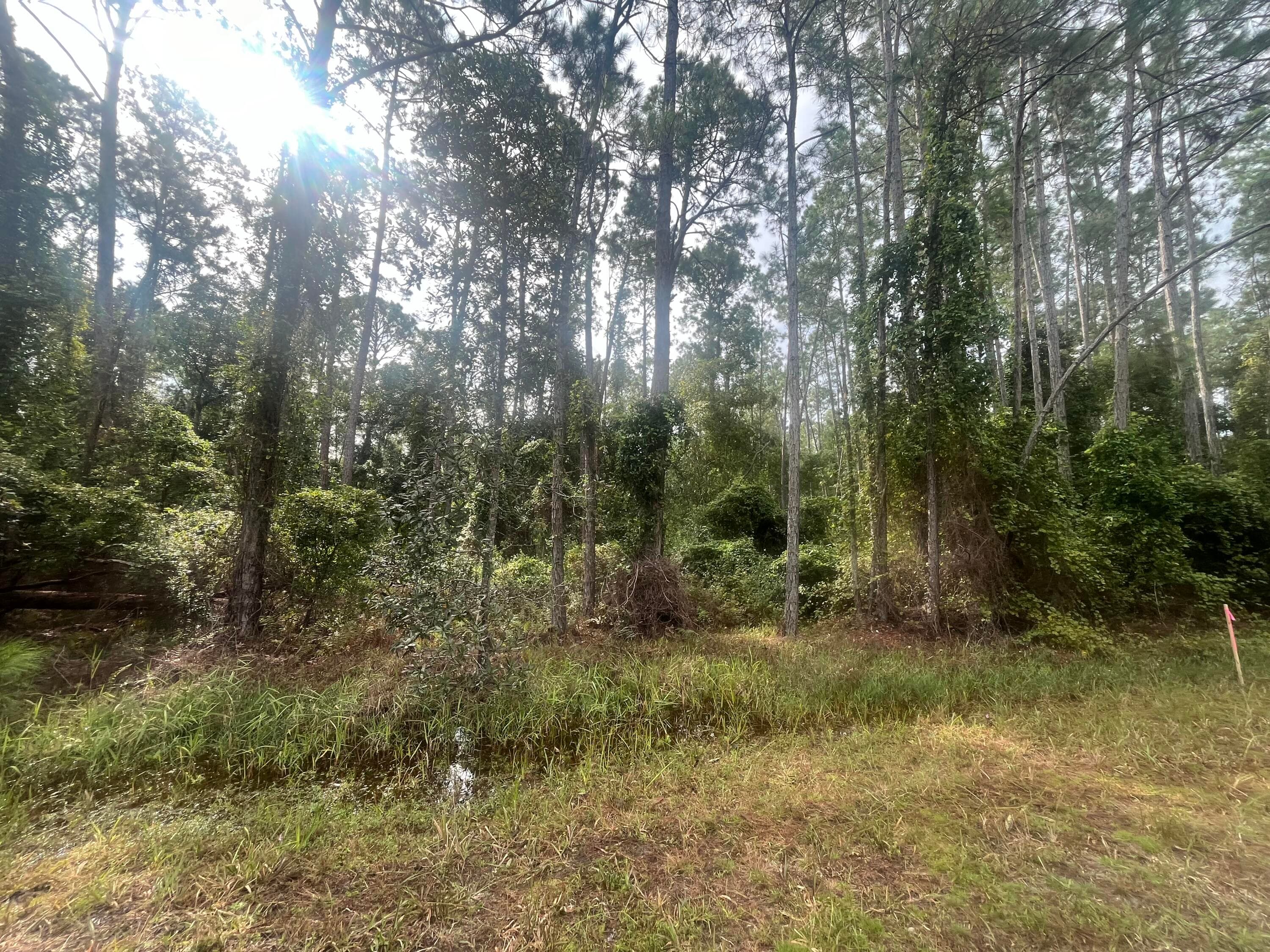 223 SE 2nd Street, Georgetown, FL 32139 — photo 5 of 7