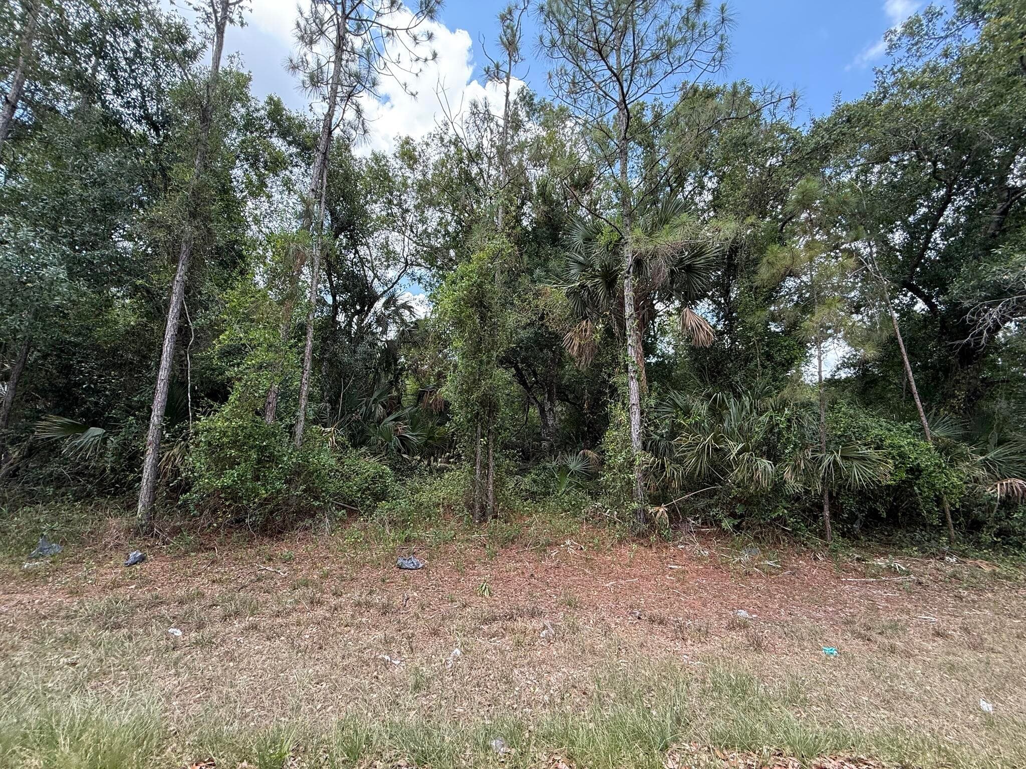 15501 Whitehall Avenue, Port Charlotte, FL 33953 — photo 8 of 16