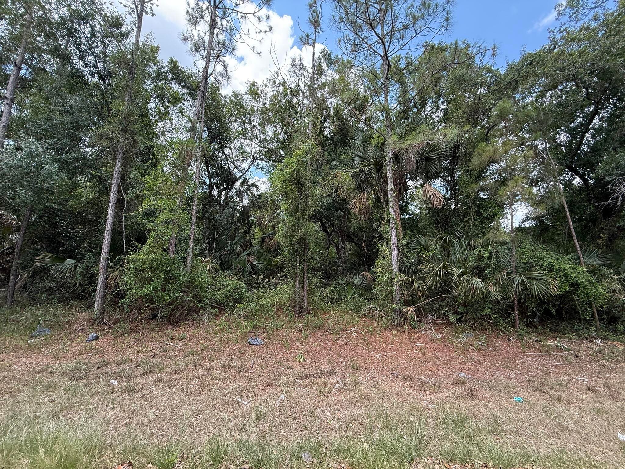 15501 Whitehall Avenue, Port Charlotte, FL 33953 — photo 9 of 16