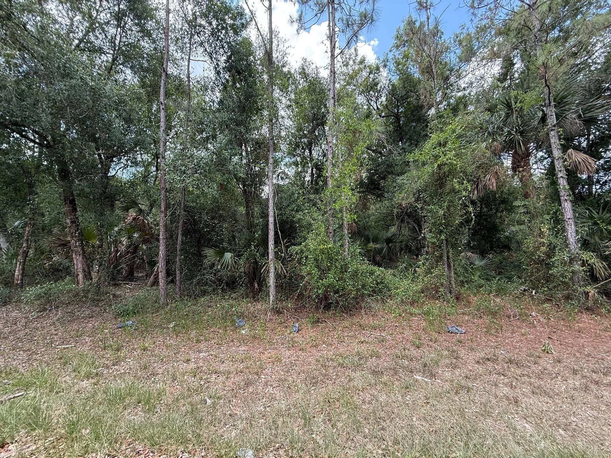 15501 Whitehall Avenue, Port Charlotte, FL 33953 — photo 10 of 16