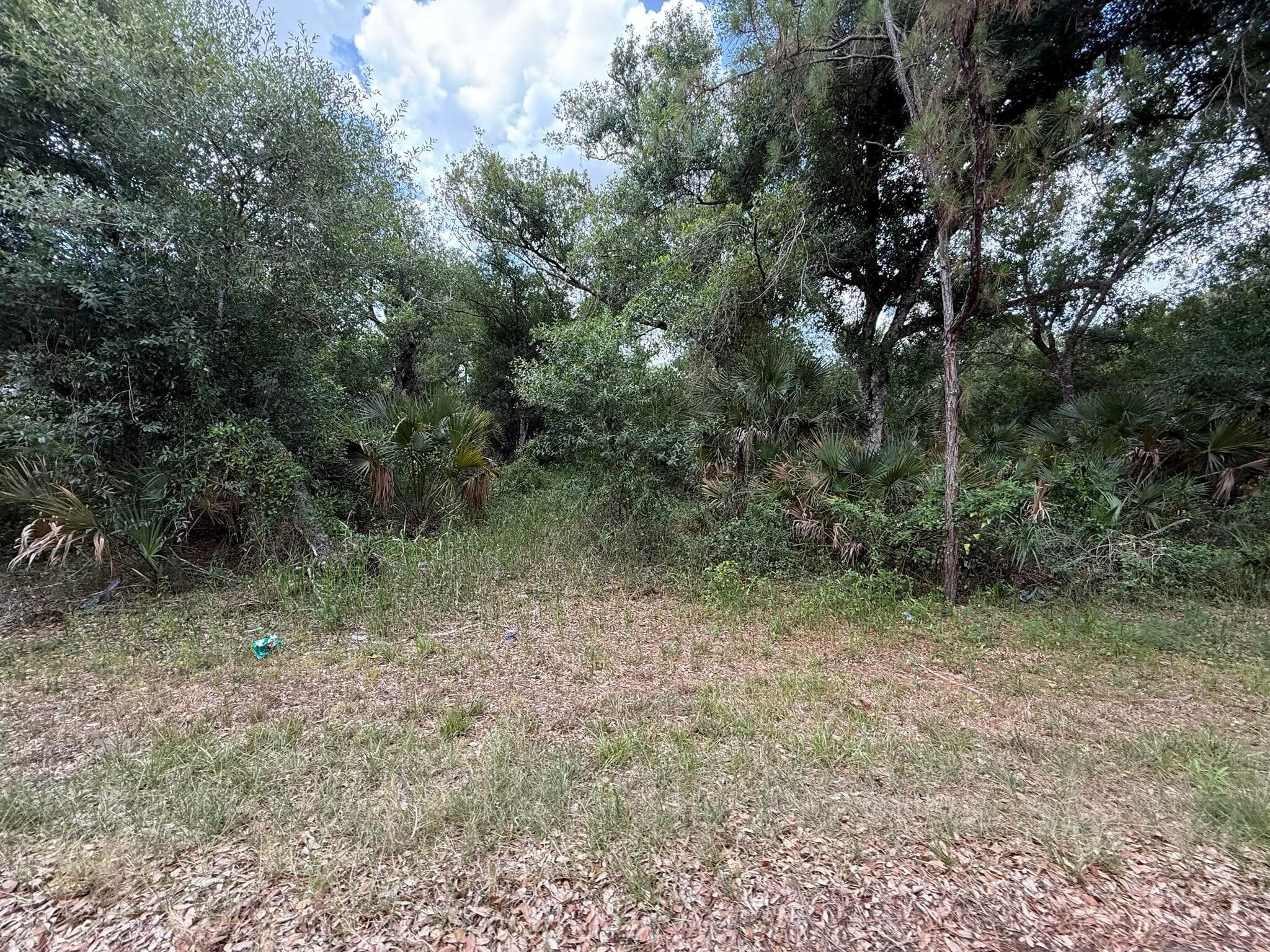 15501 Whitehall Avenue, Port Charlotte, FL 33953 — photo 11 of 16