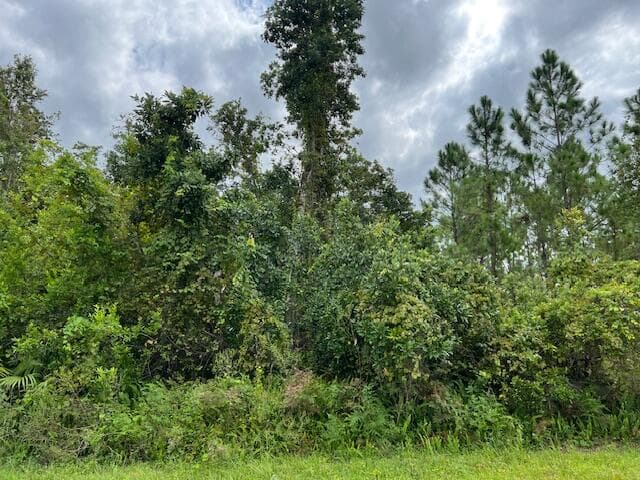 1123 Greenfield Street, Lake Placid, FL 33852 — photo 7 of 11
