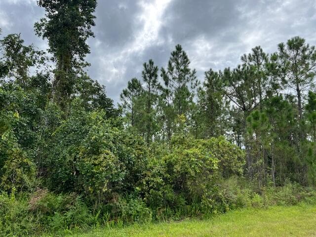 1123 Greenfield Street, Lake Placid, FL 33852 — photo 9 of 11