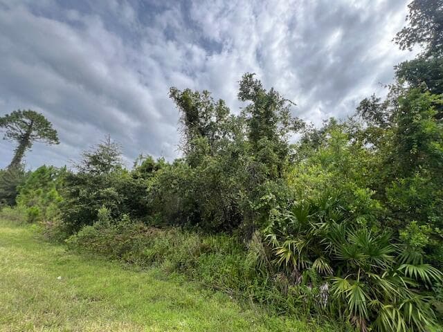 1123 Greenfield Street, Lake Placid, FL 33852 — photo 6 of 11