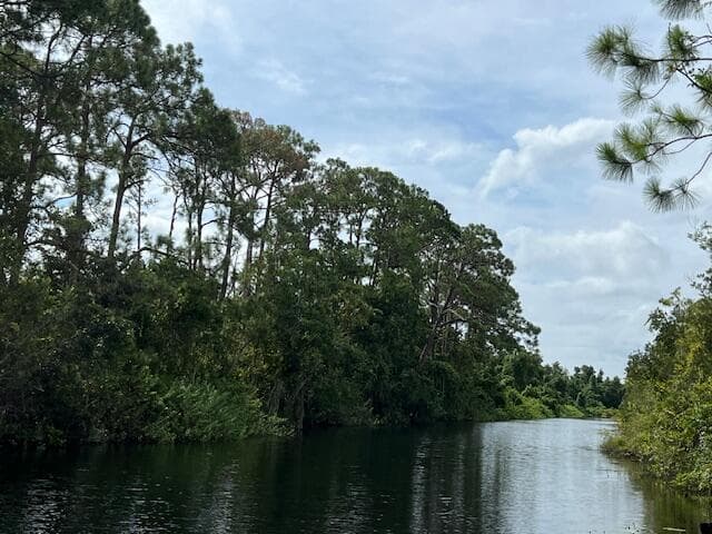 1123 Greenfield Street, Lake Placid, FL 33852 — photo 4 of 11