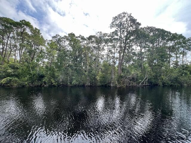 1123 Greenfield Street, Lake Placid, FL 33852 — photo 3 of 11