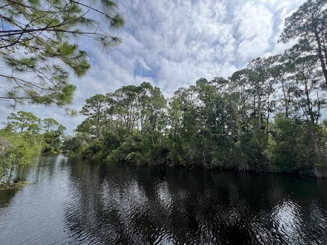 1123 Greenfield Street, Lake Placid, FL 33852 — photo 1 of 11