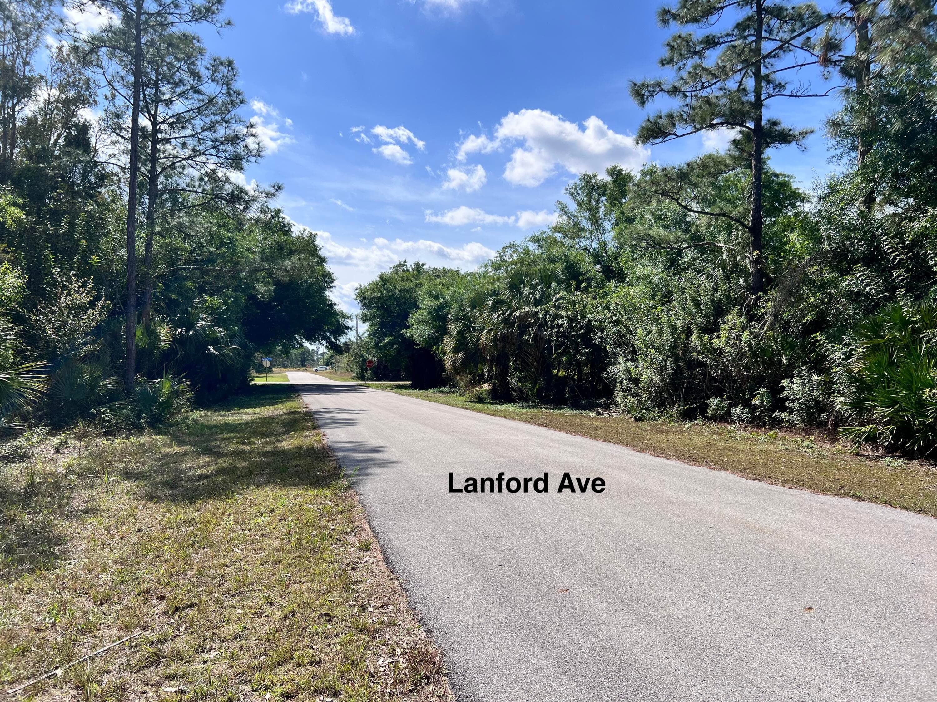 332 Lanford Avenue, Lehigh Acres, FL 33974 — photo 2 of 4