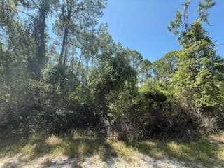 337 Palm Way, Georgetown, FL 32139 — photo 3 of 8
