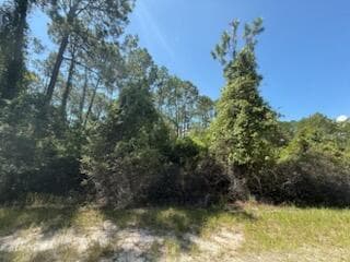 337 Palm Way, Georgetown, FL 32139 — photo 4 of 8